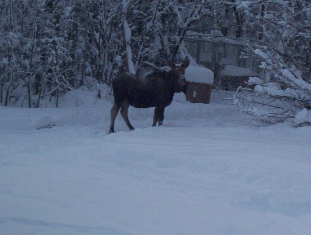 100_0147.jpg
