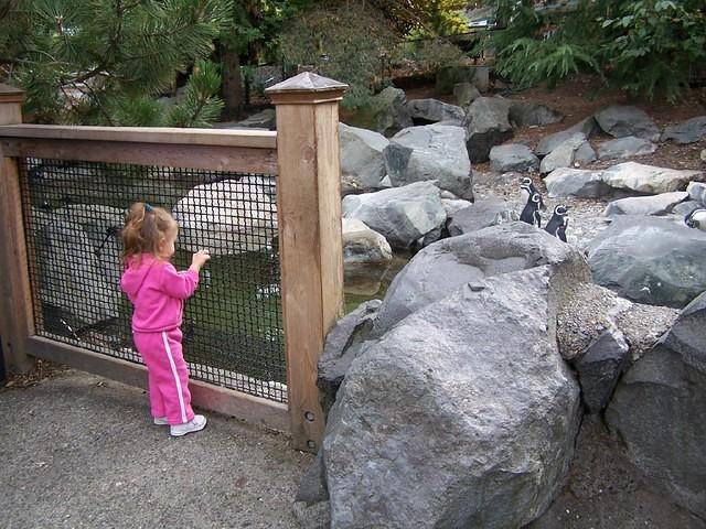 100_4336.jpg