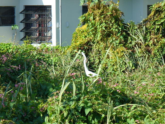 P1040210.jpg