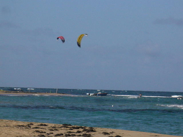 P1040397.jpg