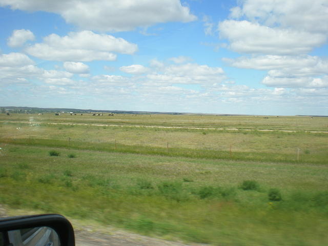 P8200260.JPG