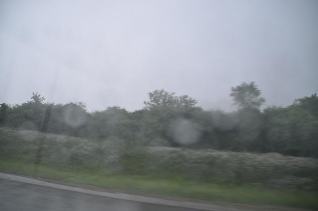 DSC 6046