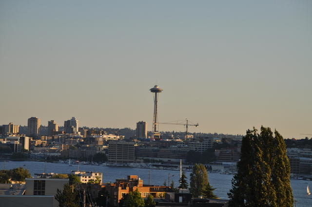 DSC 7111