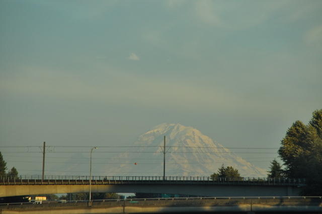 DSC 7117