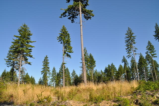 DSC 7160