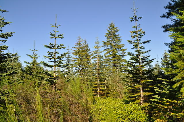 DSC 7182