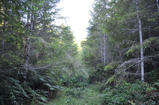 DSC 7220
