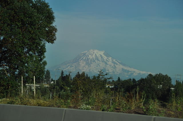 DSC 7264