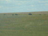 P8200254.JPG