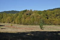 DSC_0497.JPG